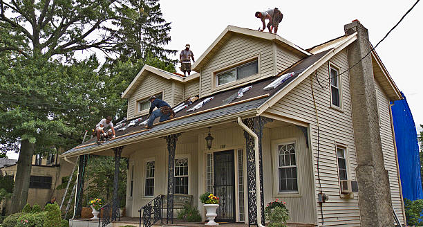 Best Roof Gutter Cleaning  in Sun Village, CA